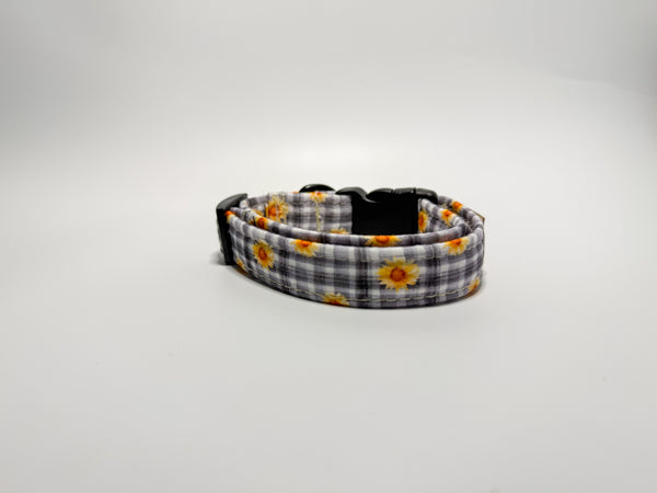 Sunnie - Collar