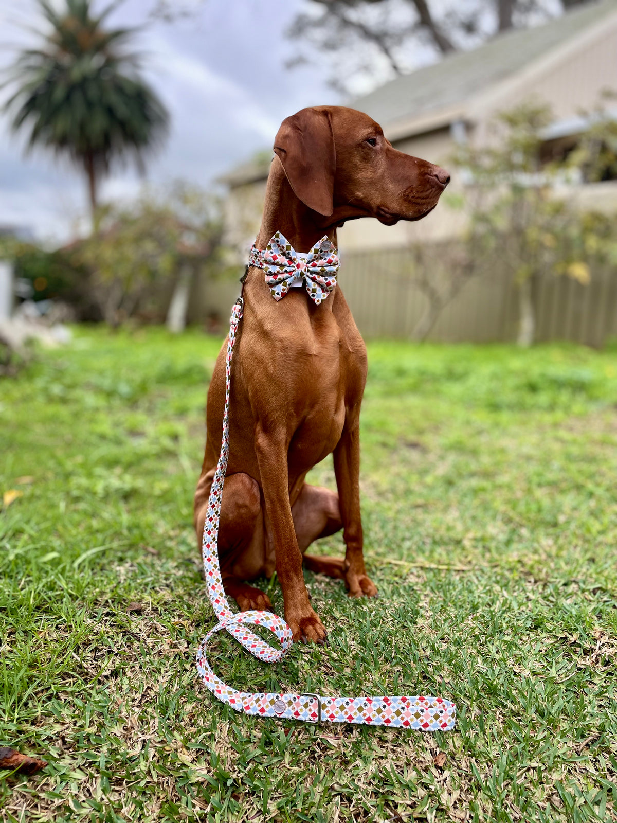 Barnum - Leads (Long, Short, Traffic Lead)