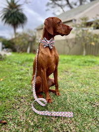 Barnum - Leads (Long, Short, Traffic Lead)