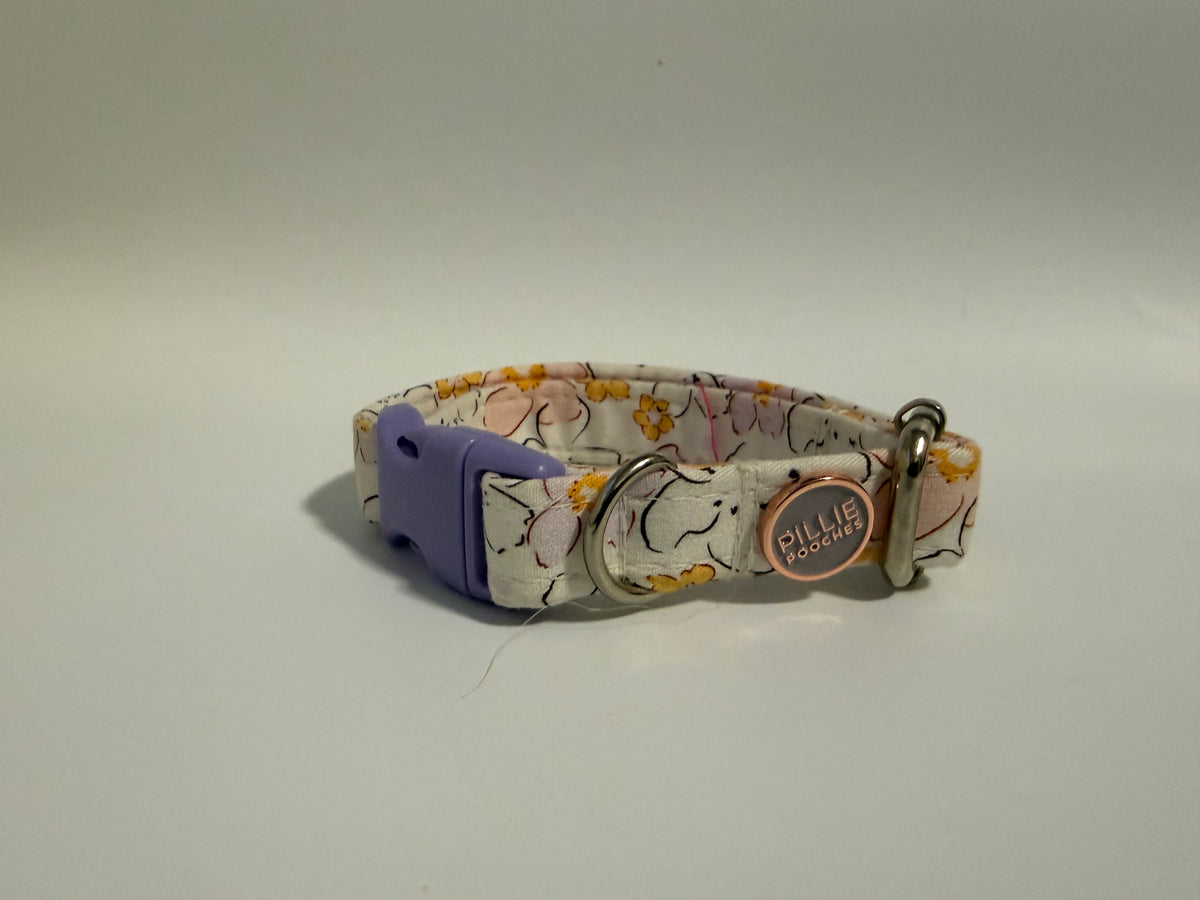 Mae - Puppy Collar Sample