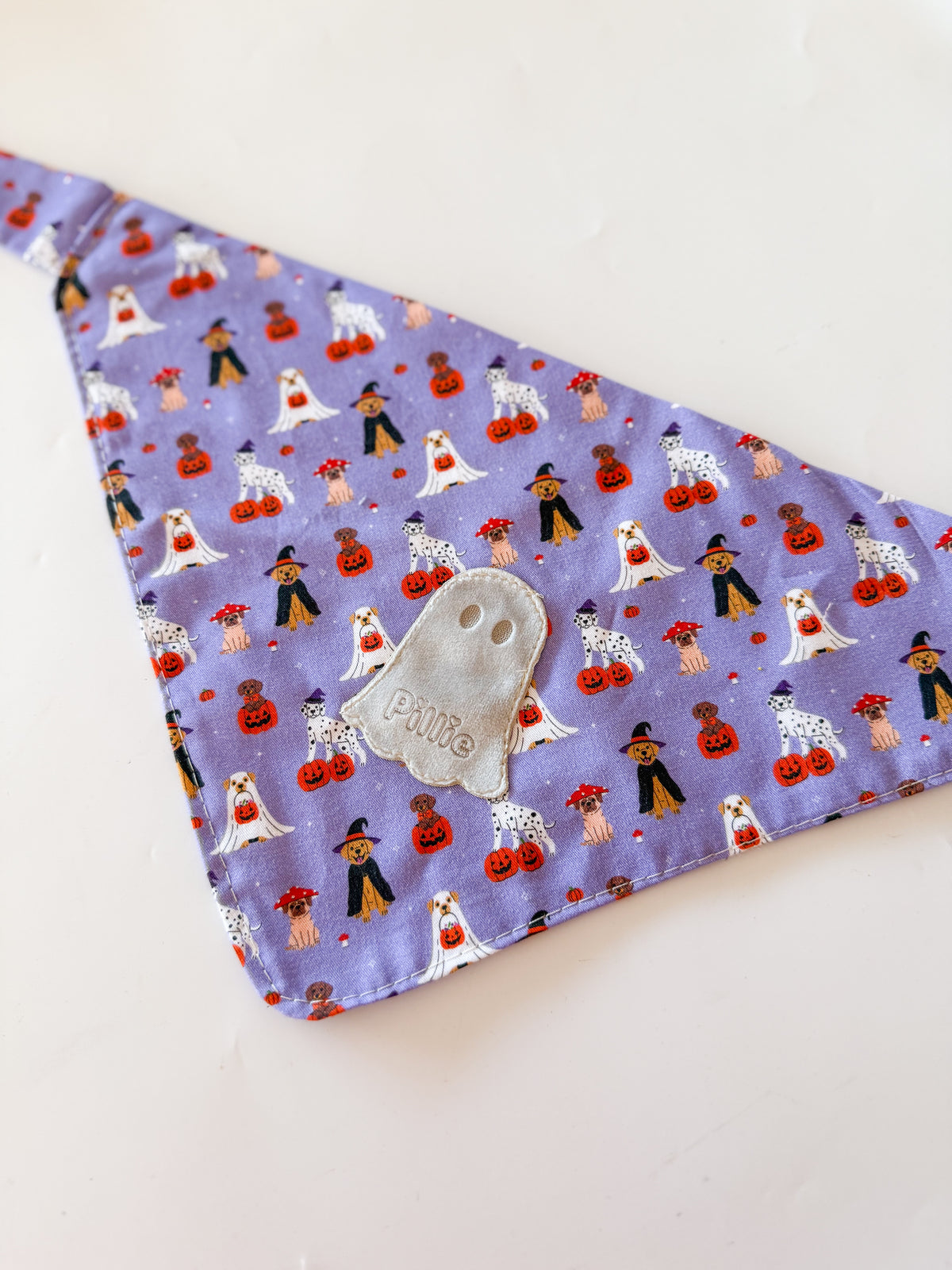 Pumpkin - Bandana