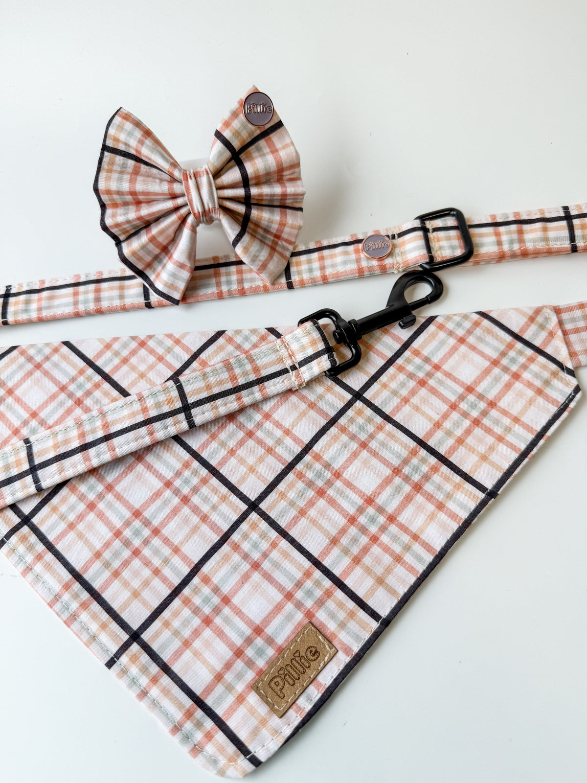 Ziggy  - Bows (Sailor or Standard)