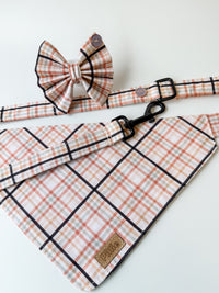 Ziggy  - Bows (Sailor or Standard)