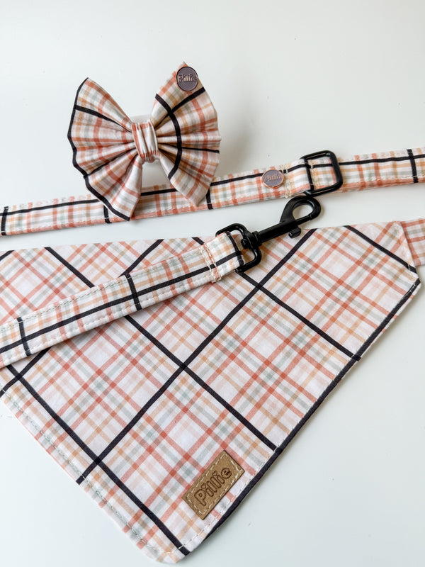 Ziggy  - Bows (Sailor or Standard)