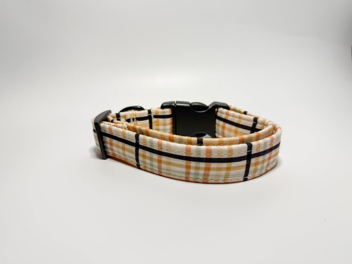 Ziggy - Collar