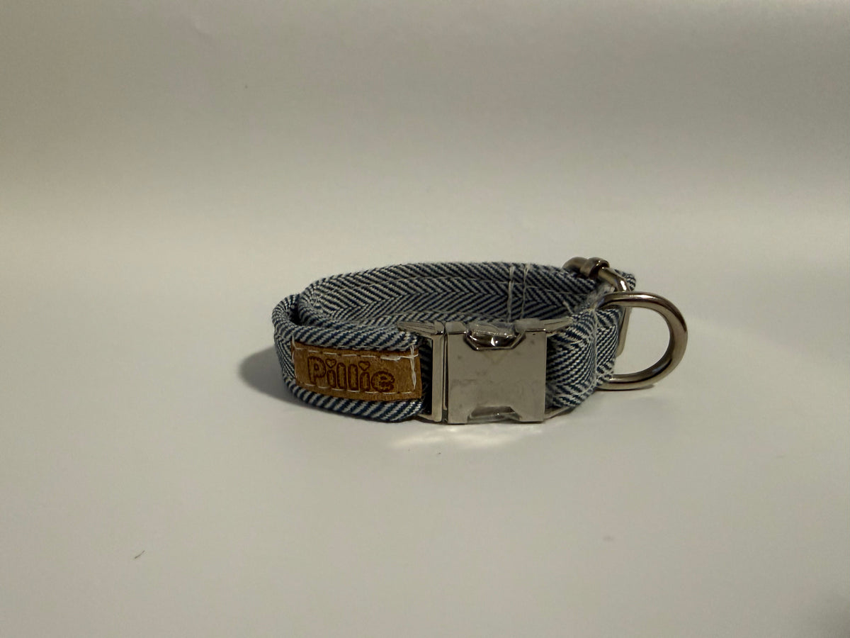 Ted - Puppy Collar Sample