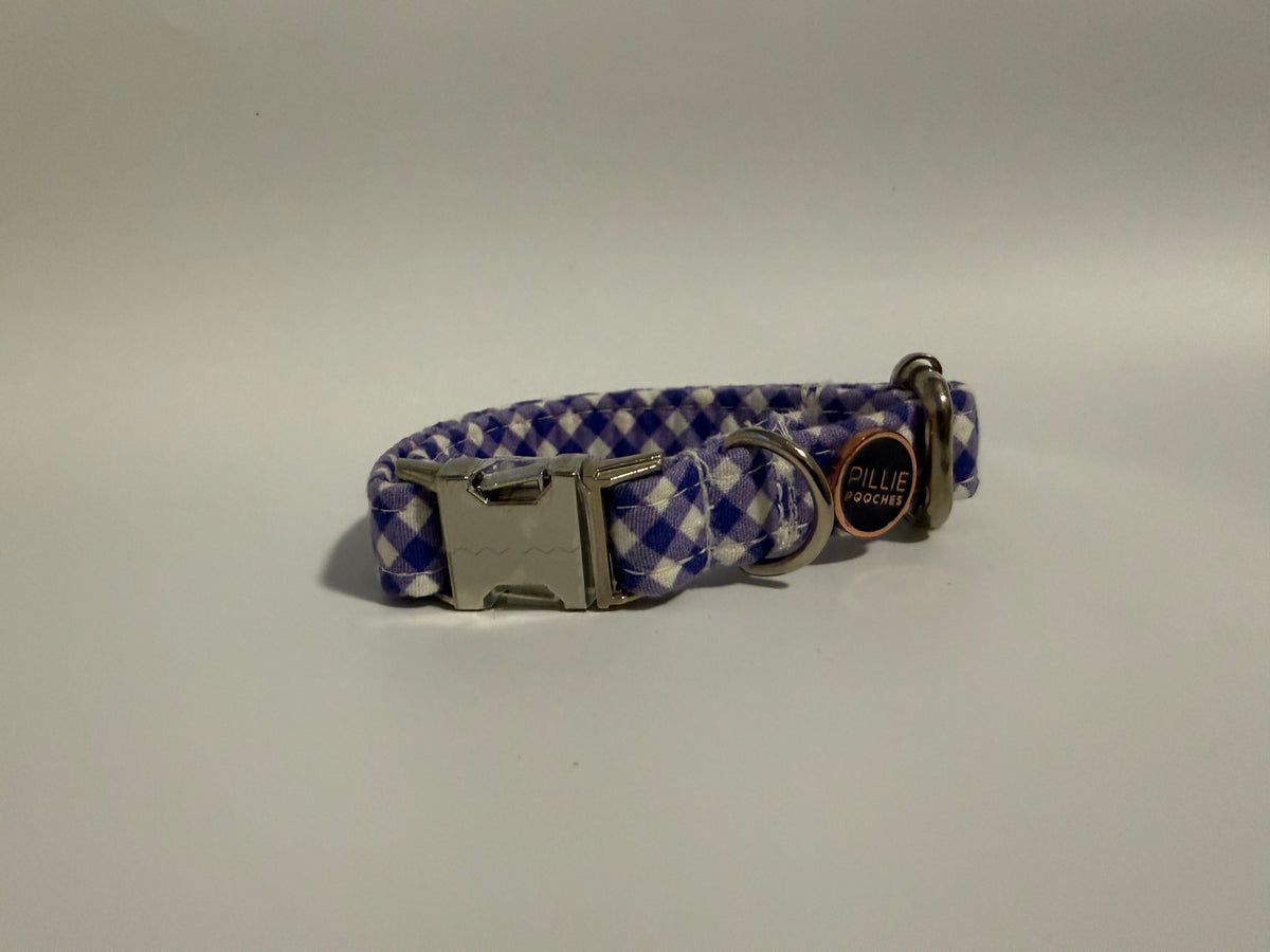 Violet - Puppy Collar Sample