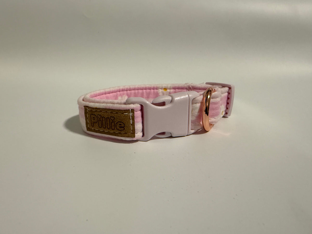 Pink Daisy - Small Collar Sample