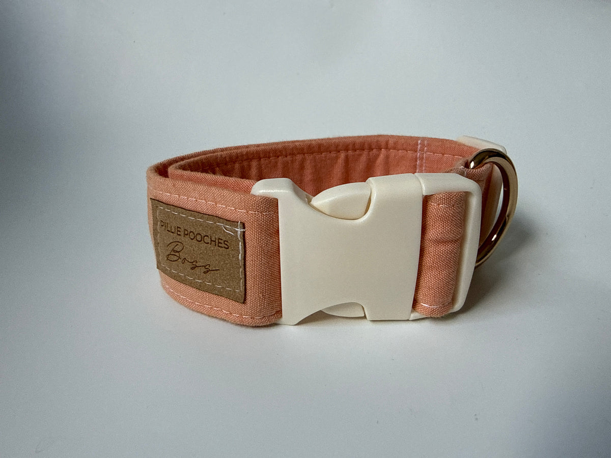 Sherbert - Boss Collar Sample