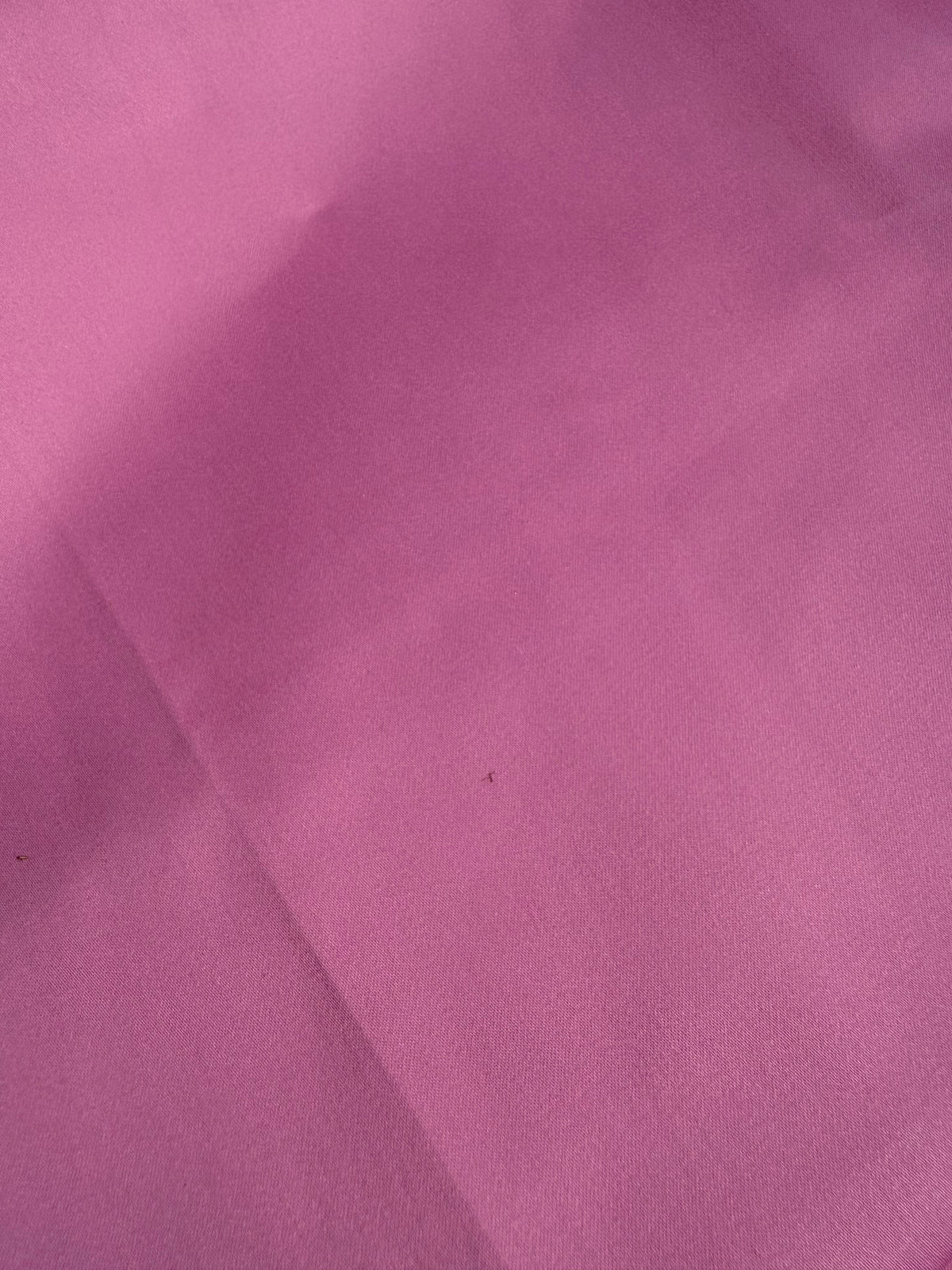 Carnation - Kitty Collar