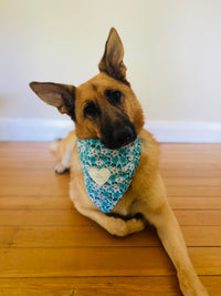 Big Sister & Big Brother Badge's