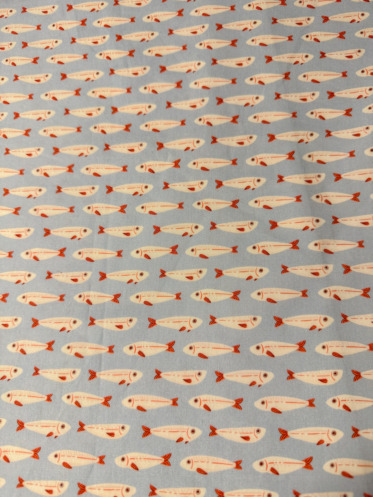 Little Fishies - Cat Collar