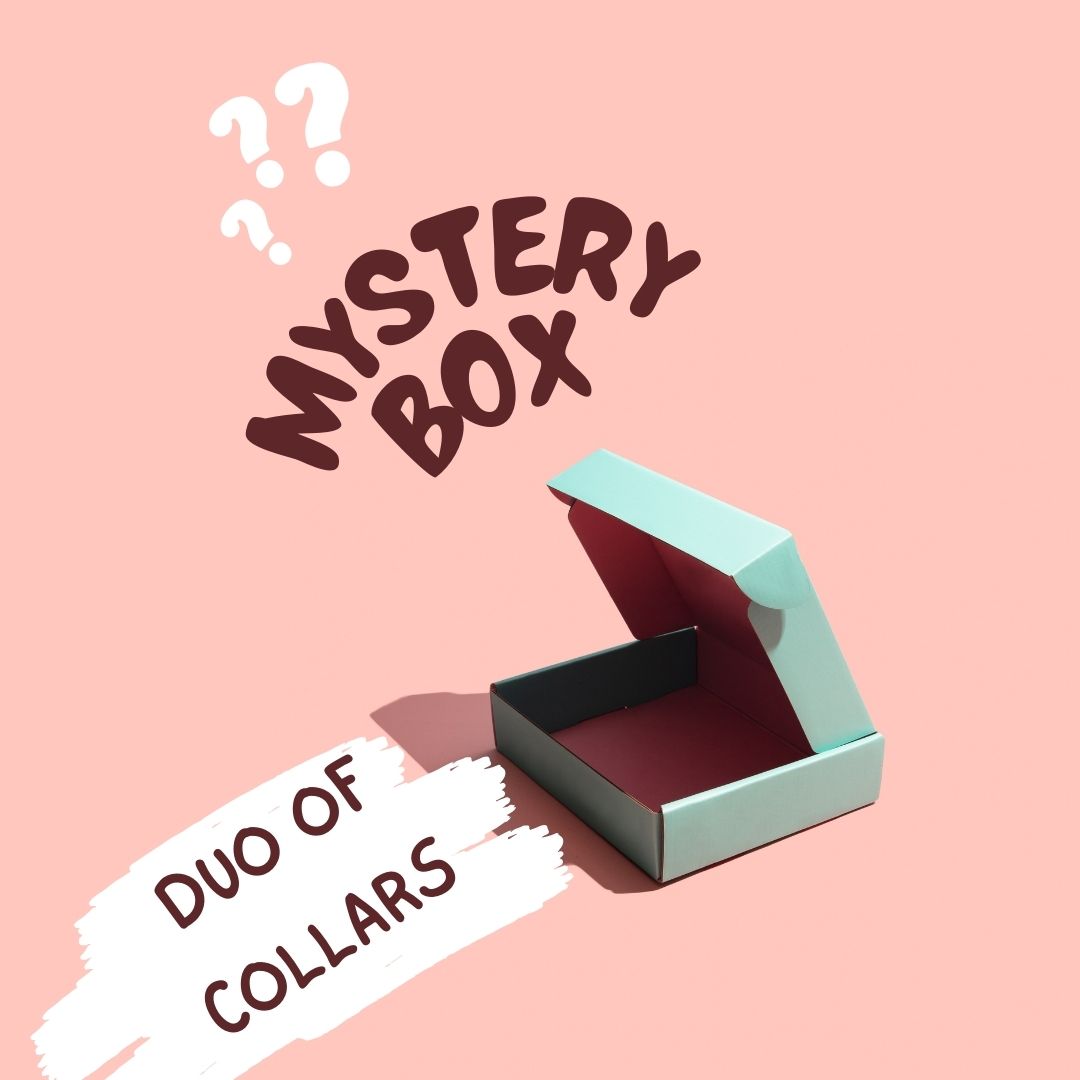 Mystery Box - Duo of  Collars