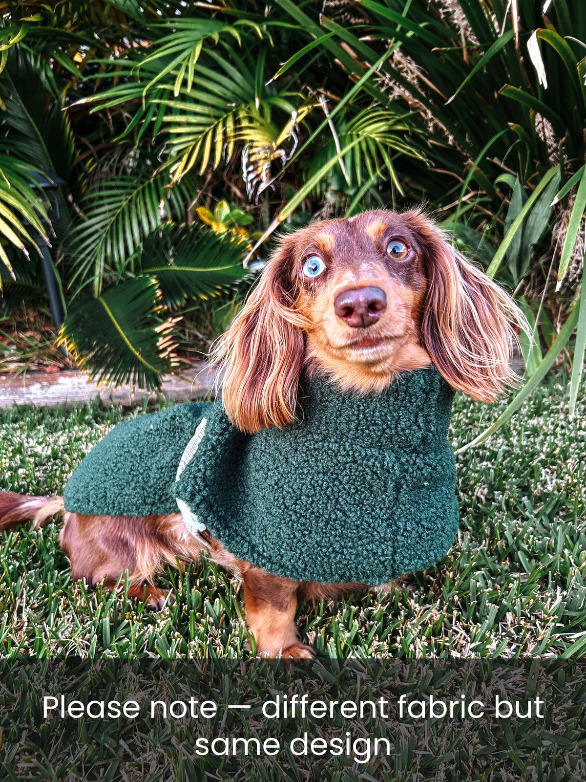Peaches - Dachshund breed size coat