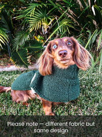 Peaches - Dachshund breed size coat