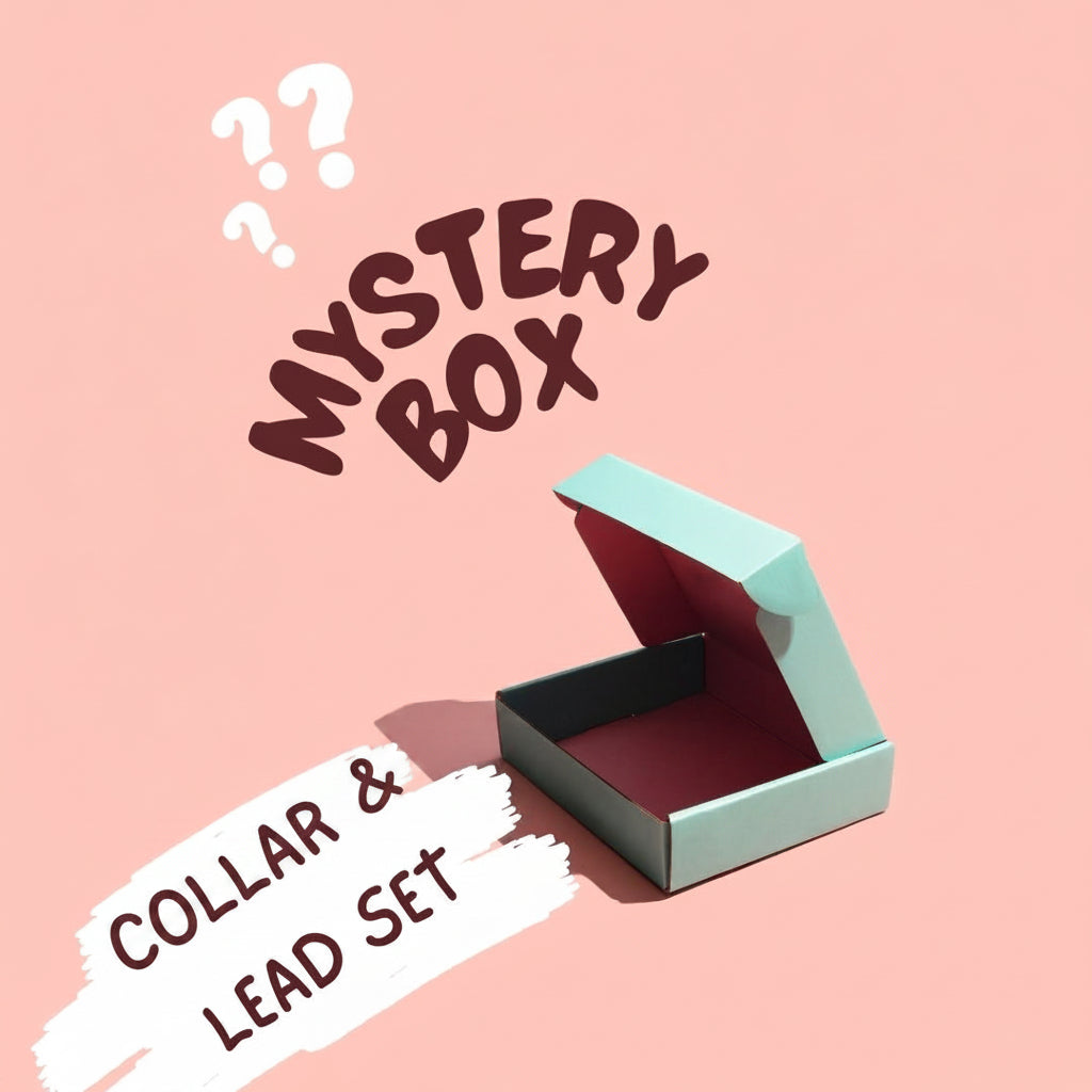 Mystery Box - Collar & Lead set