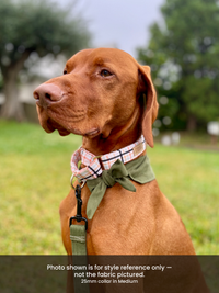 Daisy Mae - Martingale Collar