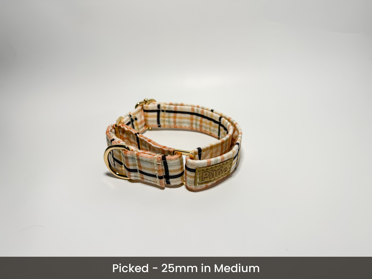 Ziggy- Martingale Collar