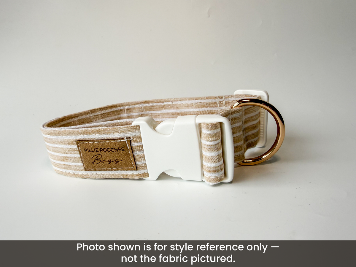 Ziggy - Boss Collar